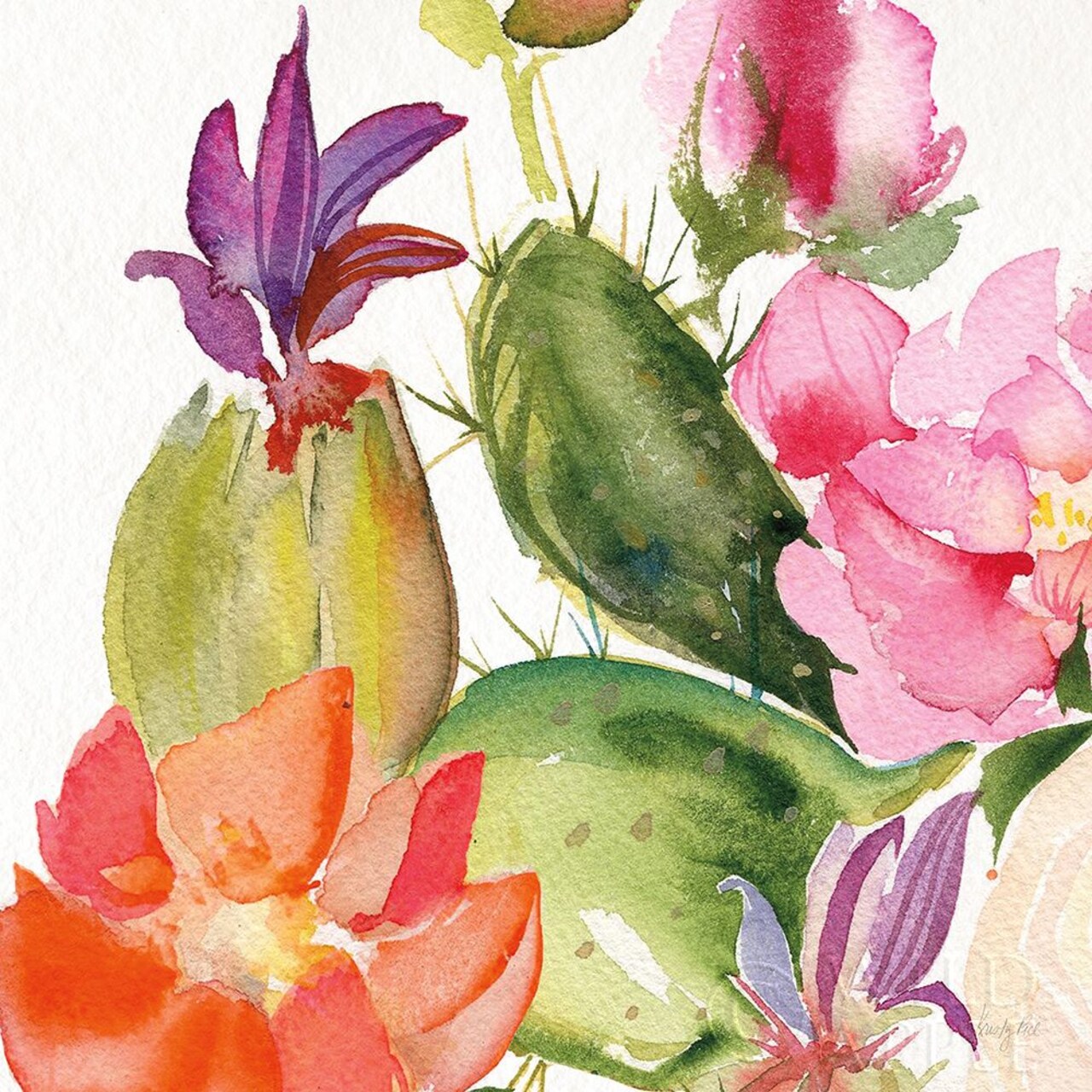 Desert Rose Ii Poster Print by Kristy Rice - Item # VARPDX38788